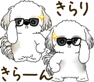 845653638