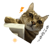 845654593