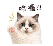 845654825