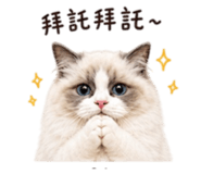 845654828