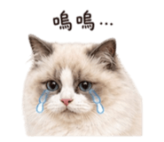 845654835