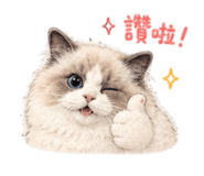 845654847