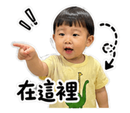 845655031