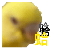 845655036