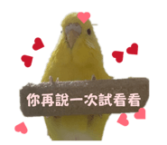 845655038