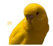 845655039