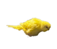 845655043
