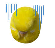 845655045