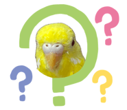 845655047