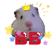 845657689