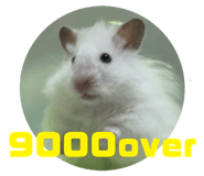 845657700