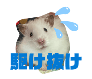845657703