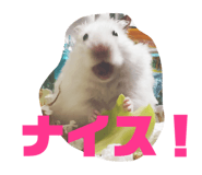 845657704
