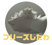 845657705