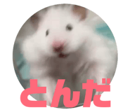 845657713