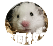 845657717