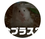 845657718