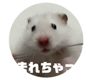 845657724