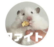 845657725