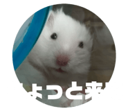 845657728