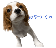 845658533