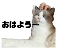 845658787