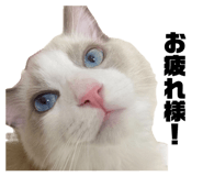 845658788