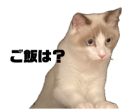 845658793