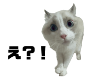 845658794