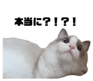 845658797