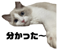 845658798
