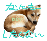 845658801