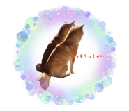 845658804