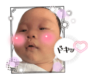 845658811