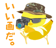 845658847