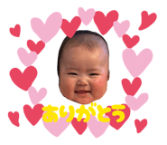 845658866