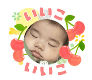 845659094