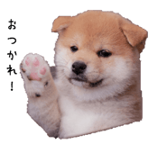 845659784