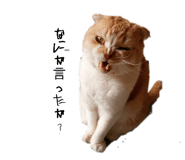 845659787