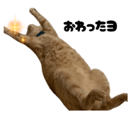 845660446