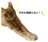 845660460
