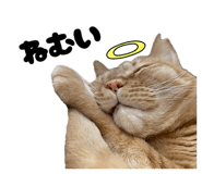 845660469