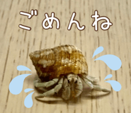 845661781