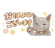 845662337