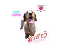 845667635