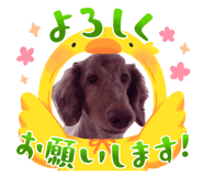 845667638