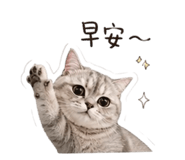 845668561