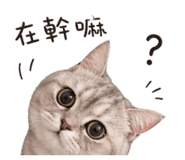 845668563