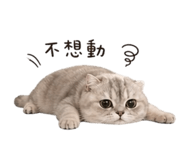 845668568