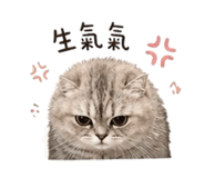 845668569
